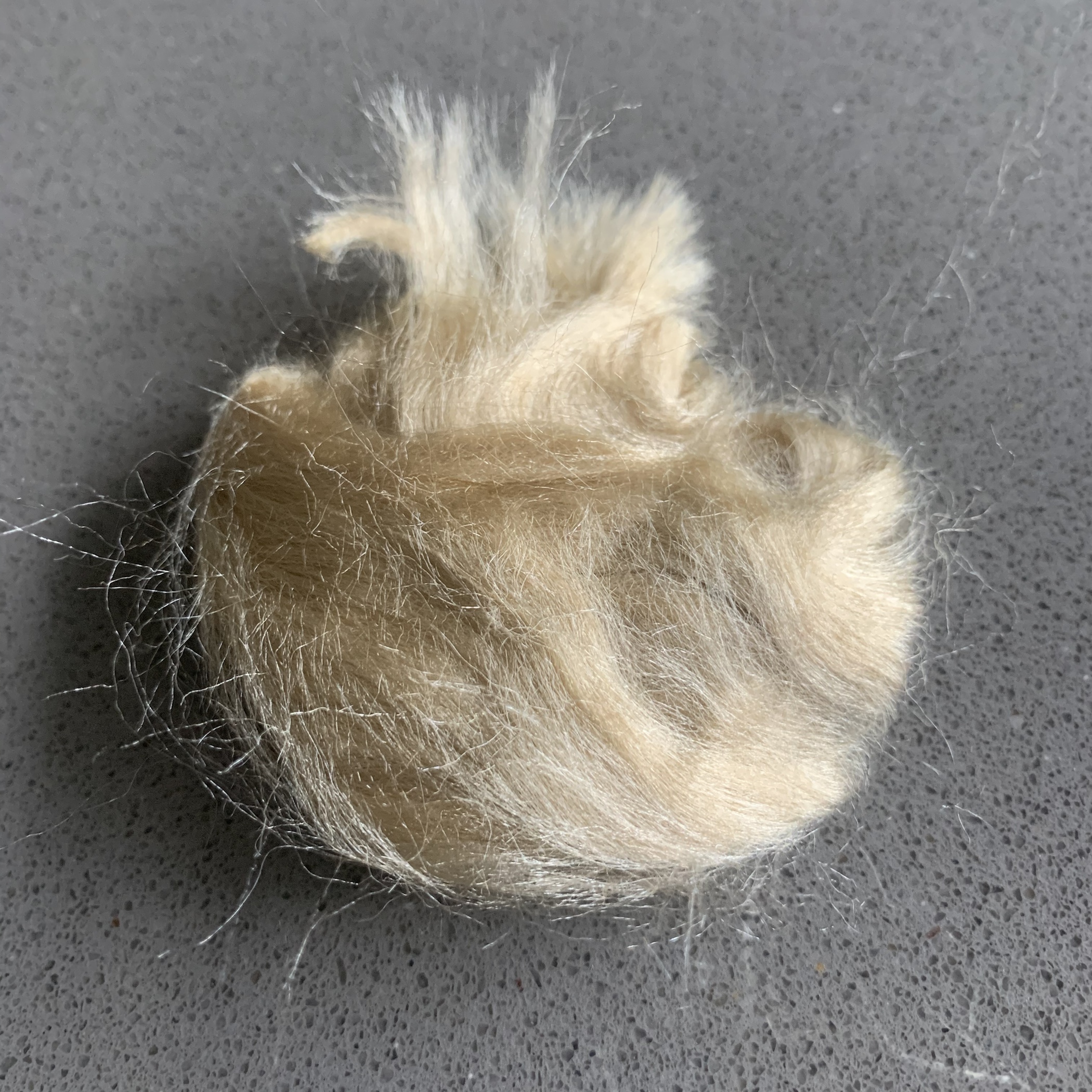 Natural silk fiber muga